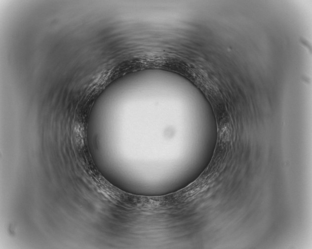 X0000093380772200710251216