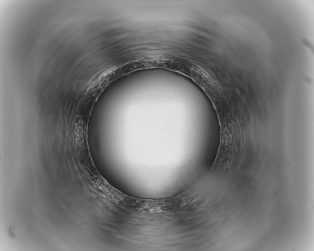 X0000093380773200710251216