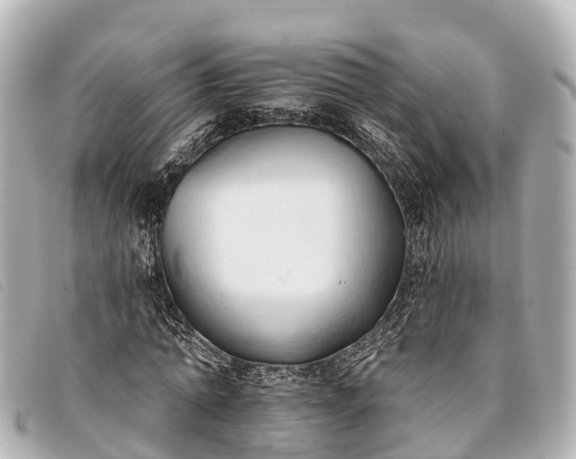 X0000093380774200710251216