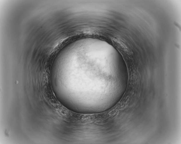 X0000093380776200710251216