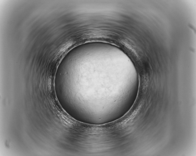 X0000093380777200710251216