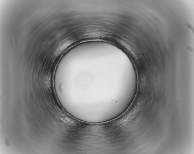 X0000093380778200710251216