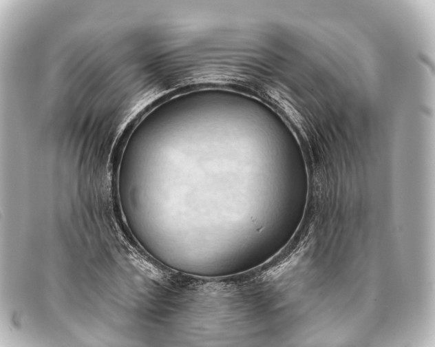 X0000093380779200710251216