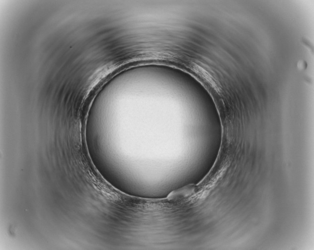 X0000093380781200710251216