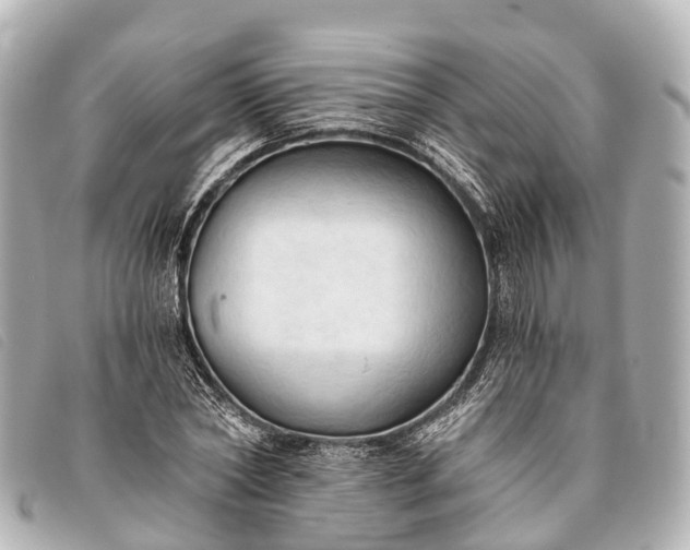 X0000093380782200710251216