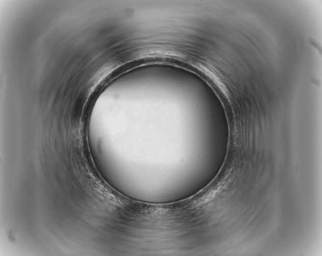 X0000093380783200710251216