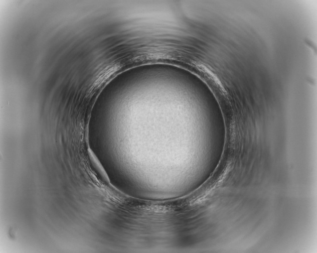 X0000093380785200710251216