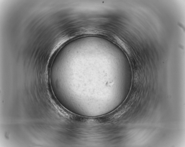 X0000093380787200710251215