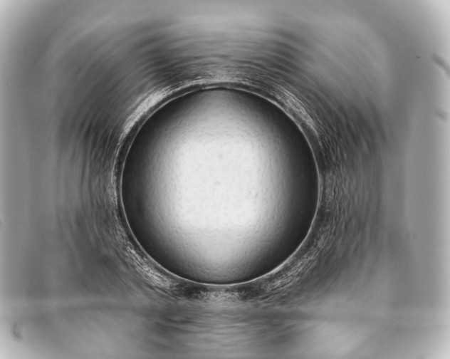 X0000093380789200710251215