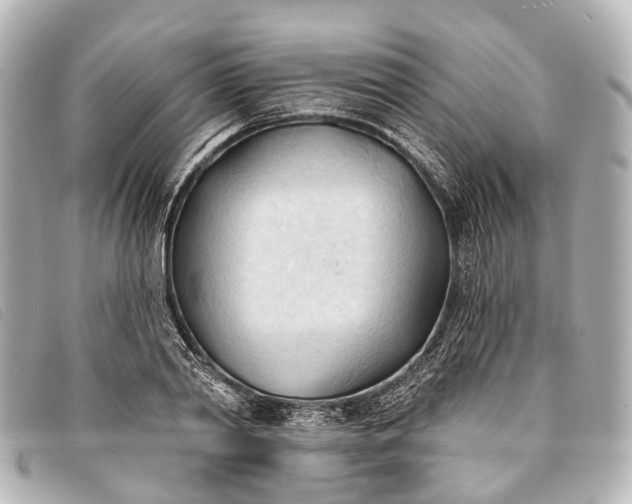 X0000093380790200710251215