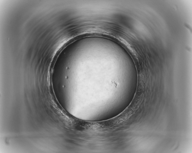 X0000093380791200710251215