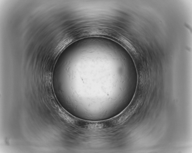 X0000093380793200710251215