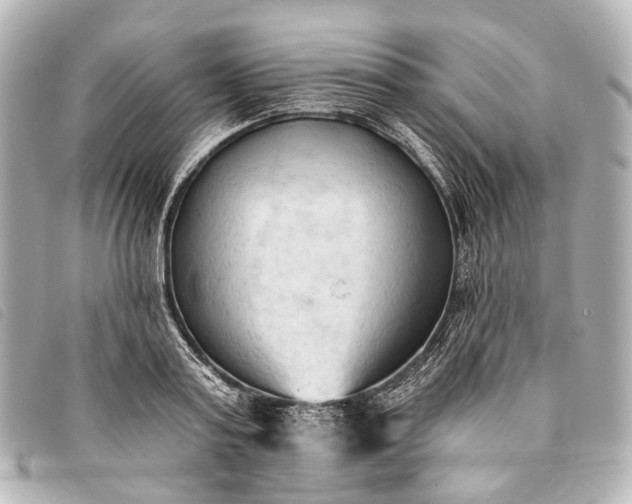 X0000093380795200710251215