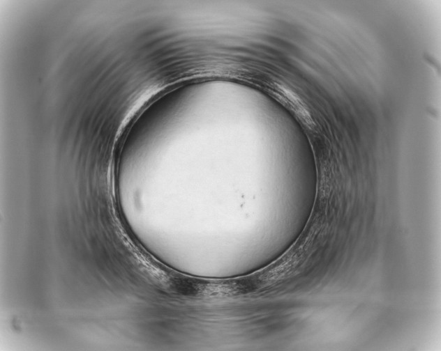 X0000093380796200710251215