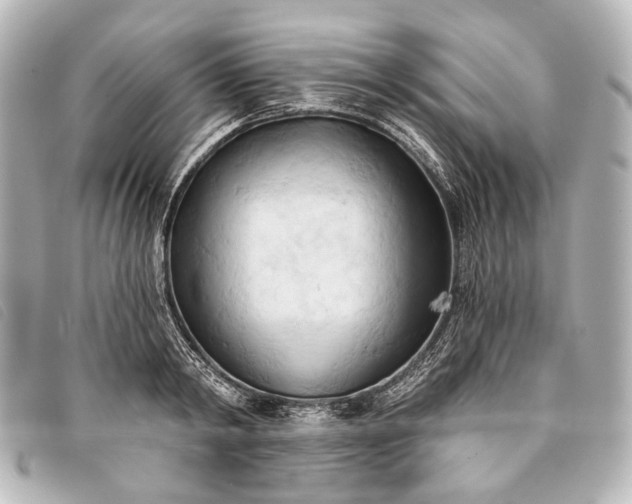 X0000093380798200710251215