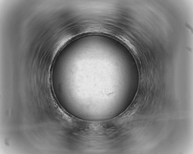 X0000093380799200710251215