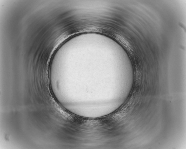 X0000093380800200710251215