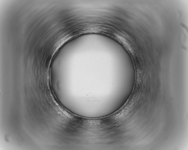 X0000093380802200710251215