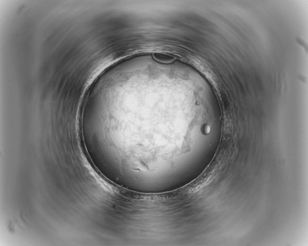 X0000093380803200710251215