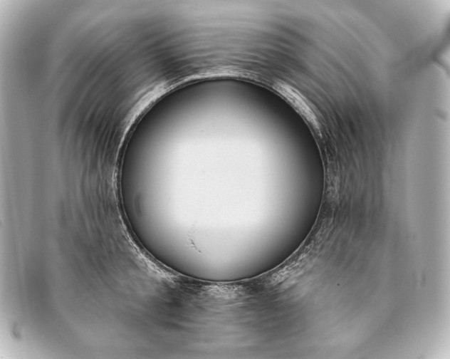 X0000093380805200710251215