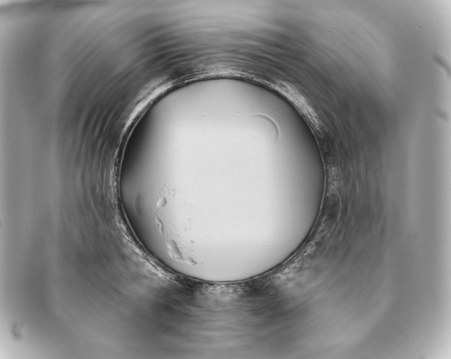 X0000093380806200710251215