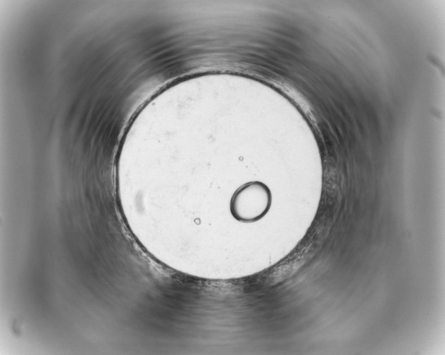 X0000093380807200710251215