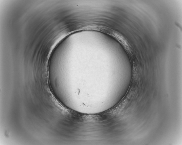 X0000093380808200710251215