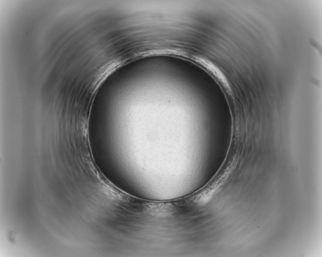 X0000093380809200710251215