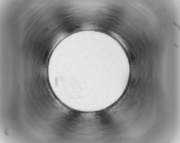 X0000093380810200710251215