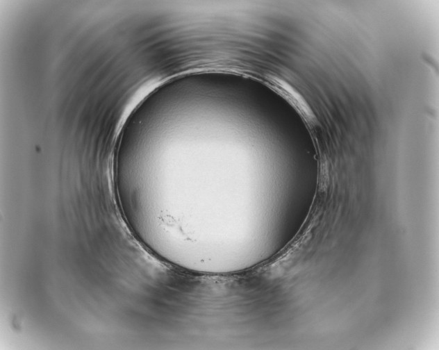 X0000093380812200710251215