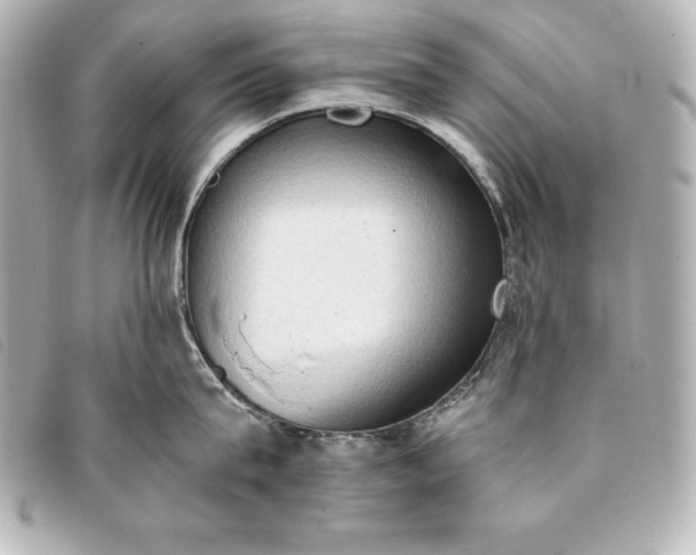 X0000093380815200710251215