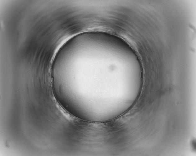 X0000093380816200710251215