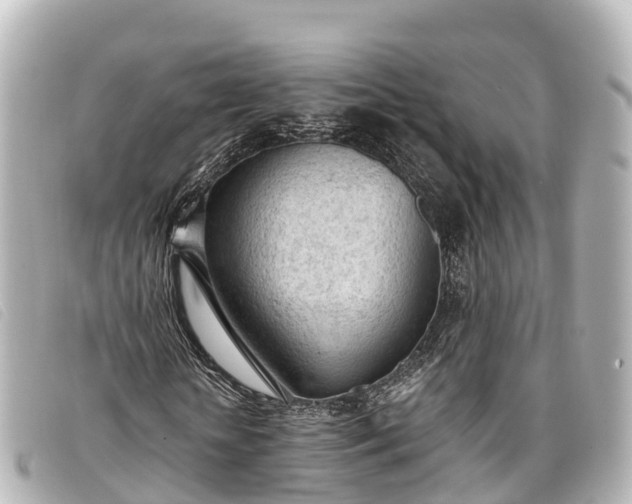 X0000093380818200710251214