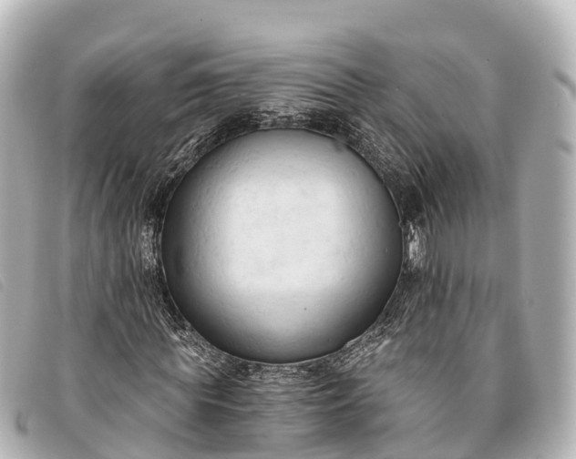 X0000093380819200710251214