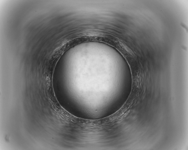 X0000093380821200710251214