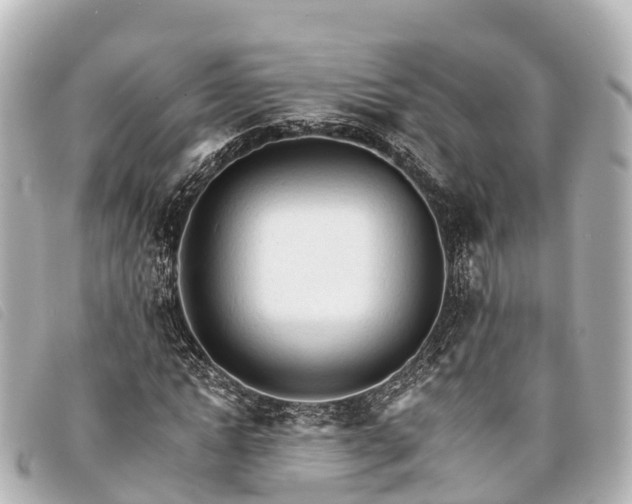 X0000093380822200710251214