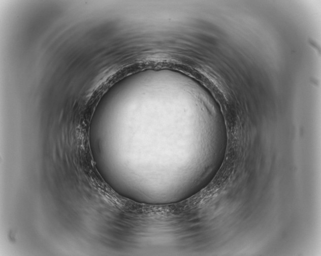 X0000093380823200710251215