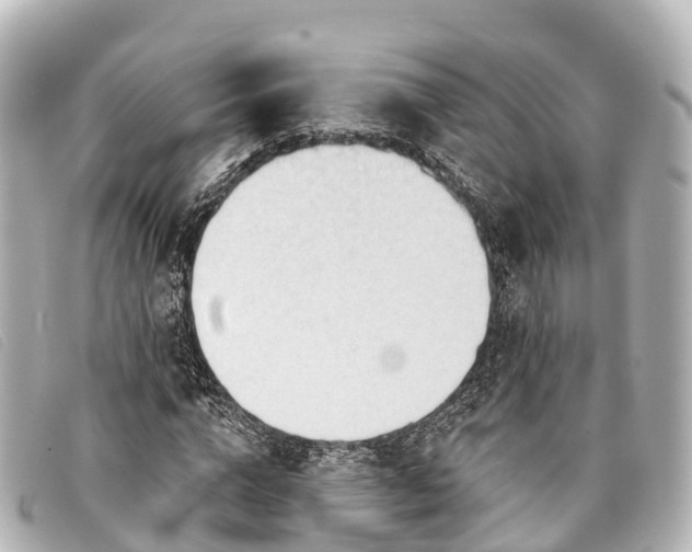 X0000093380824200710251215