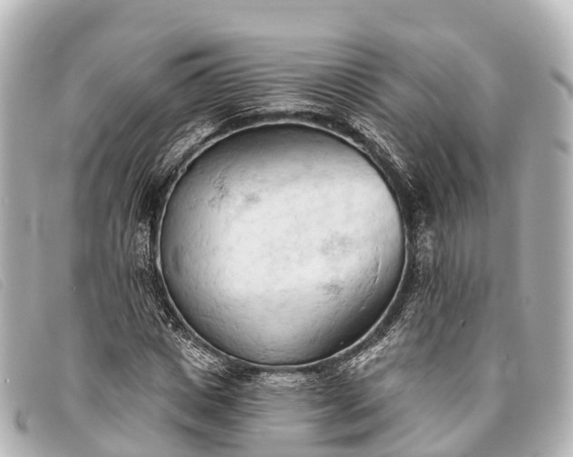 X0000093380825200710251215