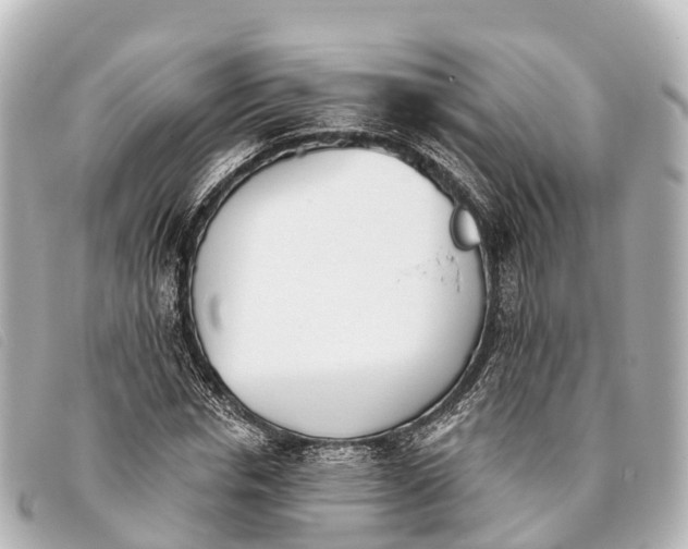 X0000093380826200710251215