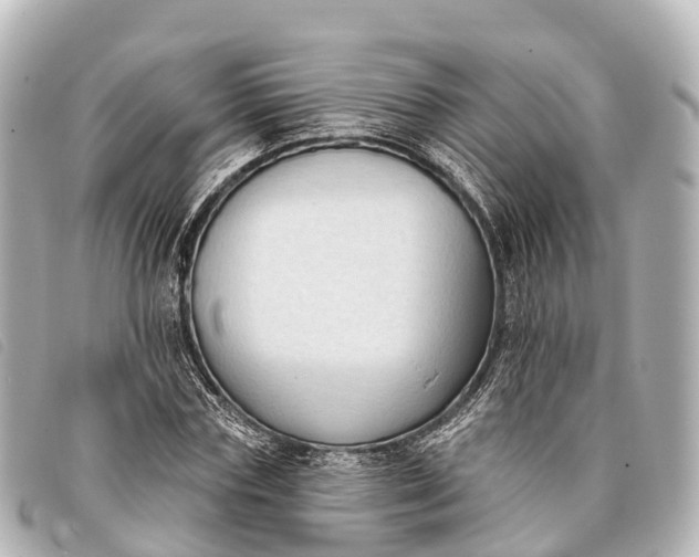 X0000093380827200710251215