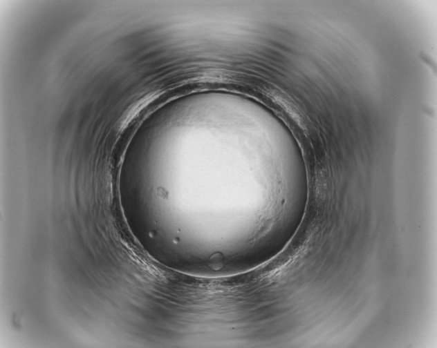 X0000093380829200710251215