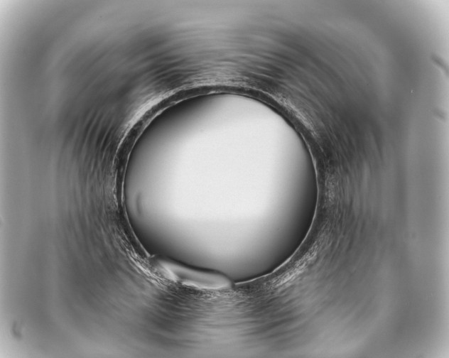 X0000093380830200710251215