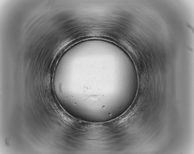 X0000093380831200710251215