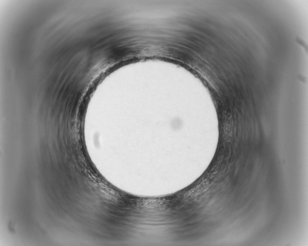 X0000093380832200710251215