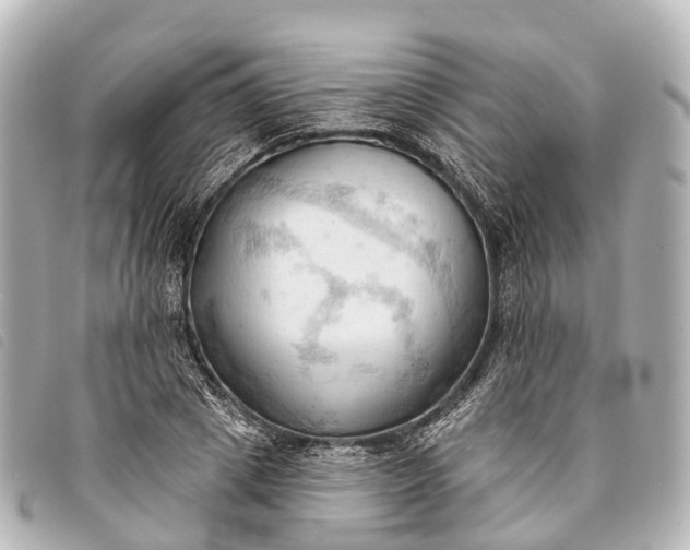 X0000093380833200710251215