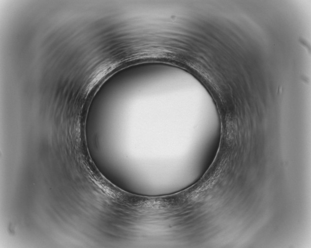 X0000093380834200710251215