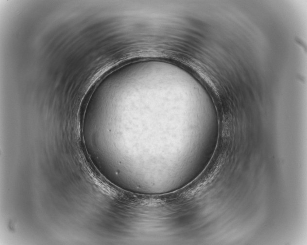 X0000093380837200710251215