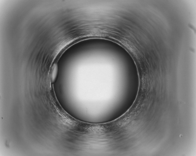 X0000093380838200710251215