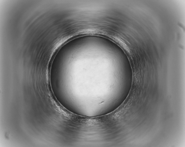 X0000093380839200710251215